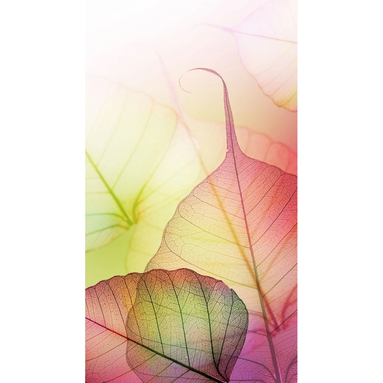 Fototapete Pink Design 