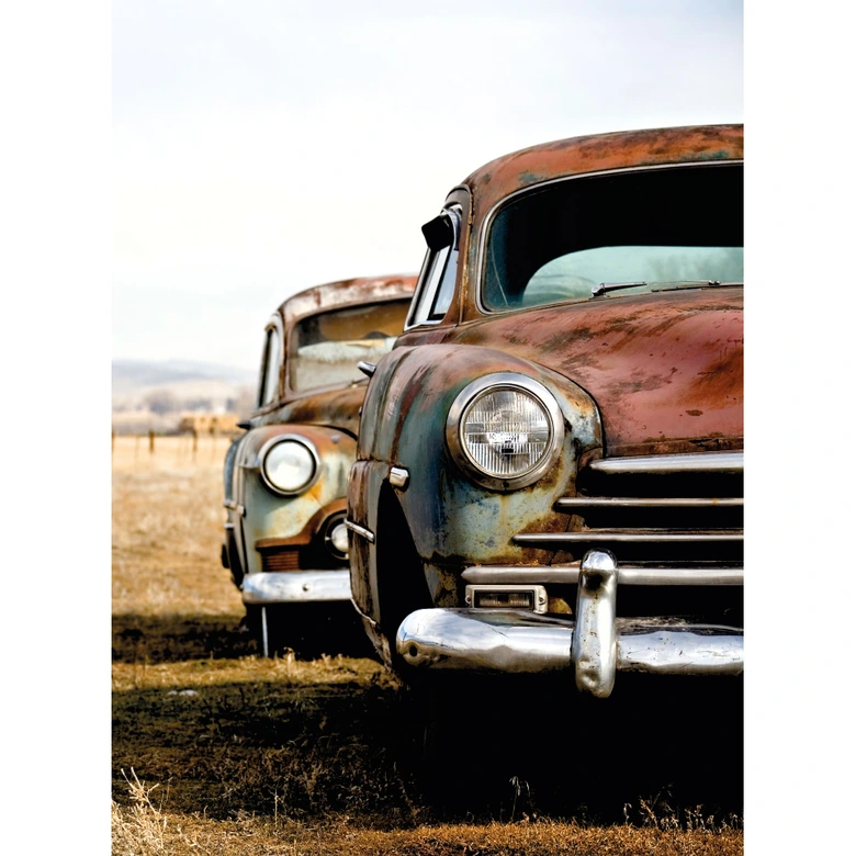 Old Rusted Cars - Wall Mural 
