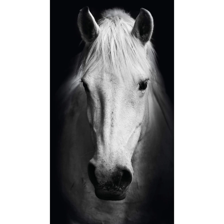 Fototapete White Horse - 144x260 cm 