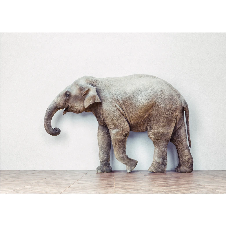 Fototapete The Walking Elephant 