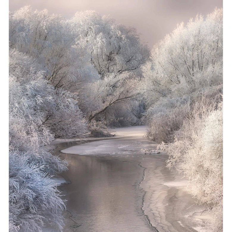 Fototapete Bela - Winterlandschaft 