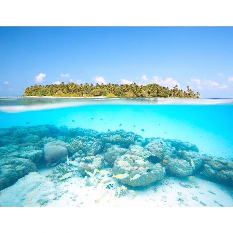 Fototapete Colombo - Unterwasserwelt der Malediven - 336x260 cm 
