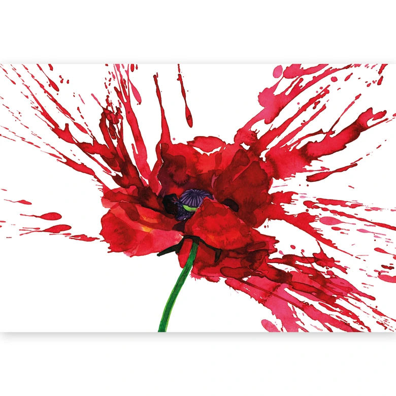 Fototapete Rote Mohnblume 