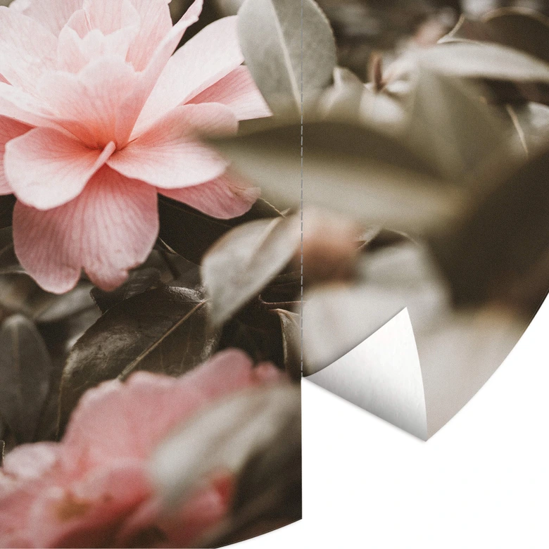 Round wall mural Annie - Pink Roses - non self-adhesive/self-adhesive wallpapers 