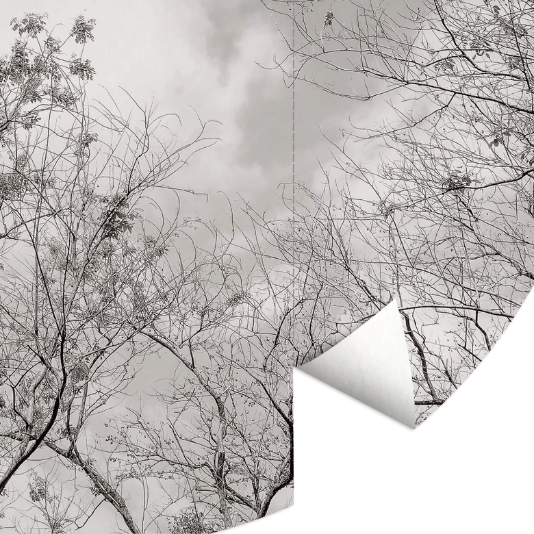 Round wall mural Treetops in the Sky - non self-adhesive/self-adhesive wallpapers 