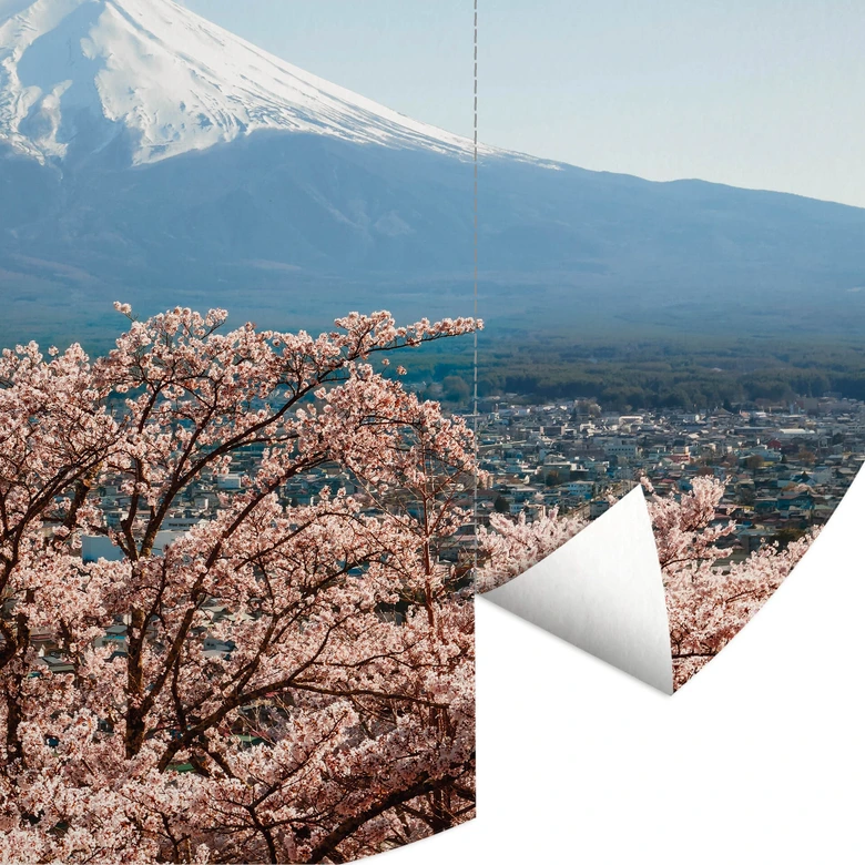 Round wall mural Colombo - Mount Fuji in Japan - non self-adhesive/self-adhesive wallpapers 