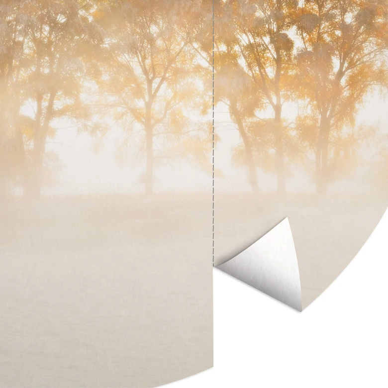 Papier peint photo rond Fan - Tempête de sable dans les Rocheuses - papier peint intissé/papier peint intissé autocollant 