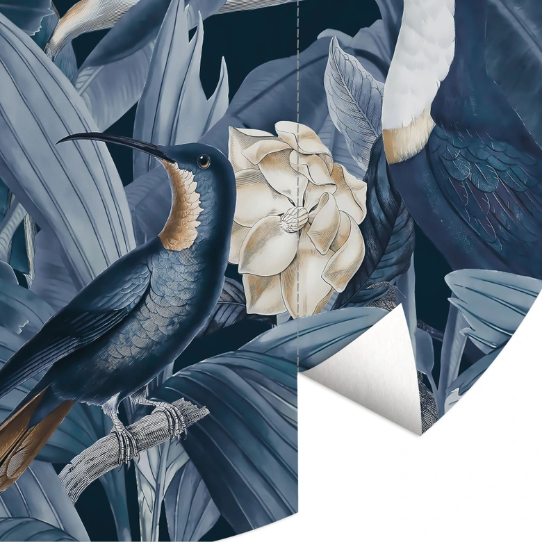 Fotomural aves tropicales en un bosque nocturno - Haase - Redondo - Papel pintado autoadhesivo/no tejido 