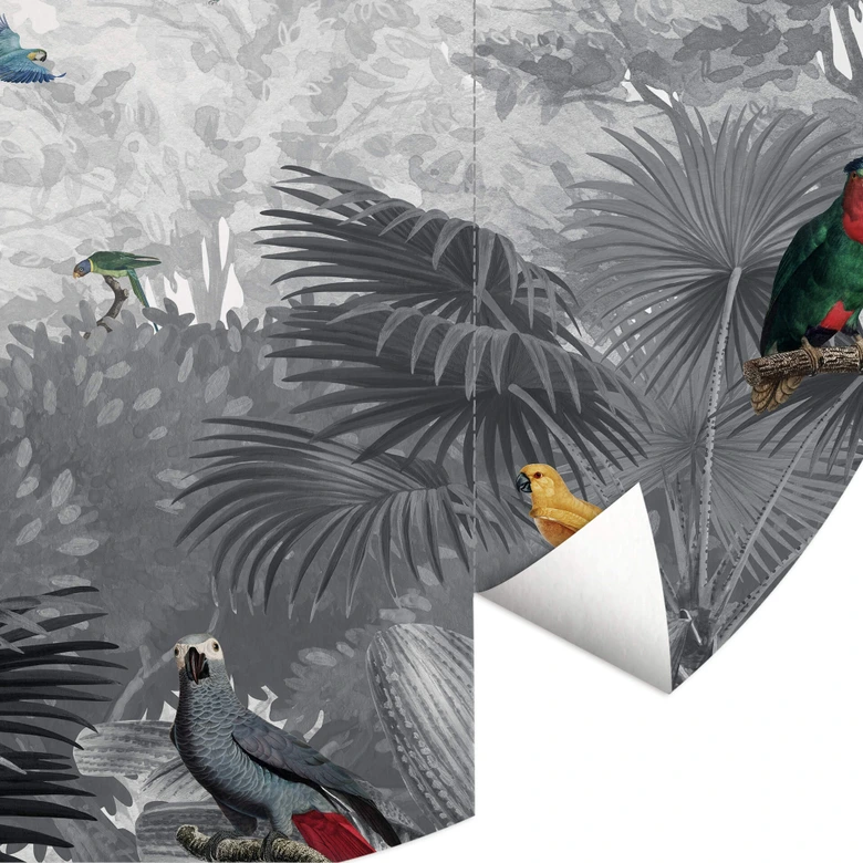 Papier peint photo rond Kikki Belle - Tropical Birds - papier peint intissé/papier peint intissé autocollant 