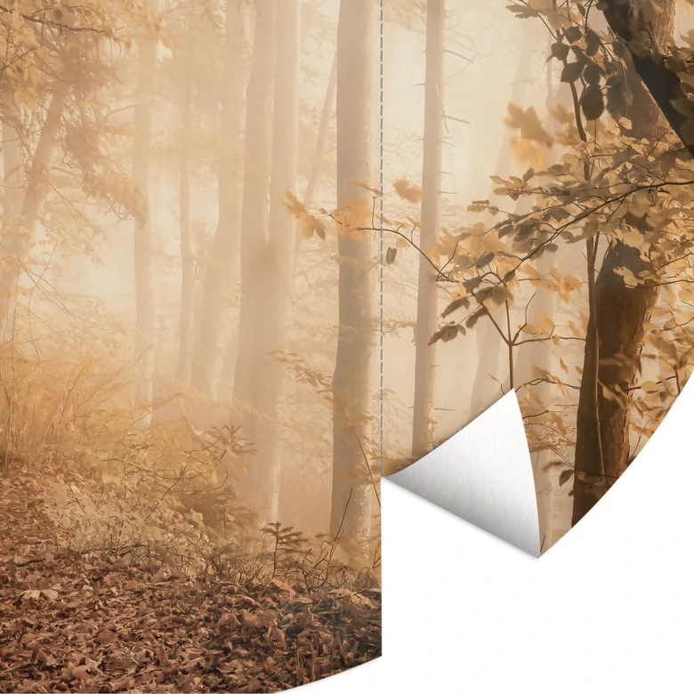 Skog i morgondimman - Skog Fototapet väggmålning rund - Maier - non-woven tapet/självhäftande non-woven tapet 