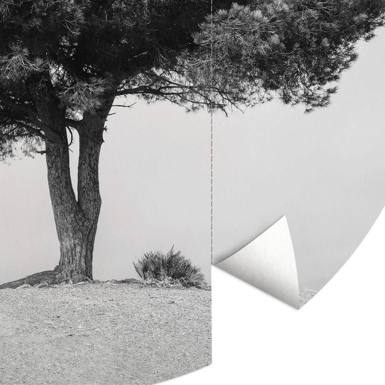 Martin - Árbol en blanco y negro - fotomural redondo - Papel pintado autoadhesivo/no tejido 