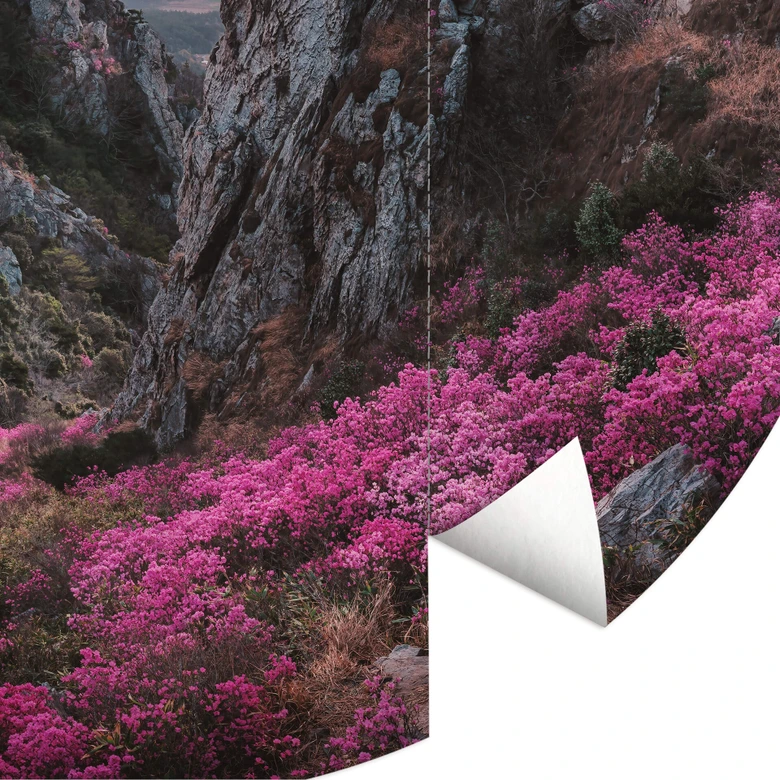 Papier peint photo rond Seo - Paysage rocheux au coucher du soleil - papier peint intissé/papier peint intissé autocollant 