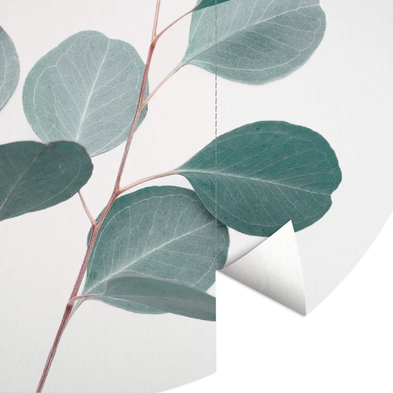 Fototapete Sisi & Seb - Blauer Eukalyptus - Rund - Selbstklebend/Vlies 