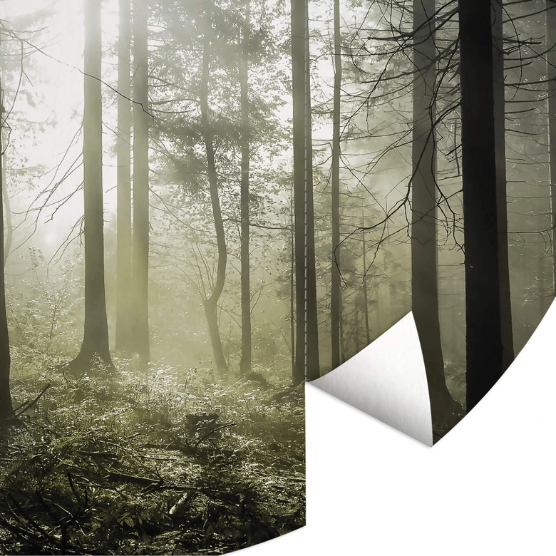 Behangcirkel Zonnestralen in het Bos - vliesbehang/zelfklevend vliesbehang 