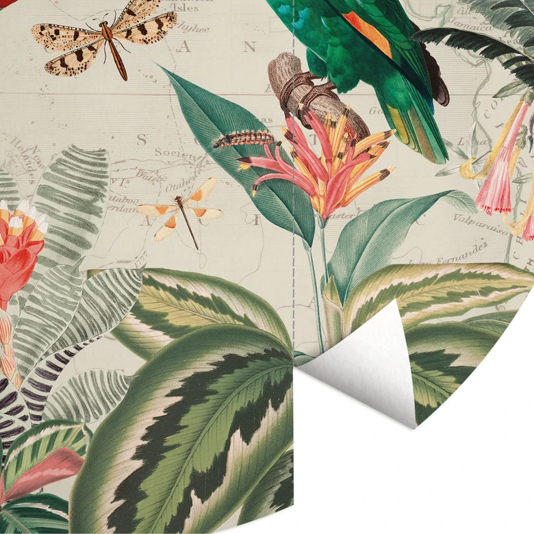 Papier peint photo rond Jungle exotique avec perroquets - UN Designs - papier peint intissé/papier peint intissé autocollant 