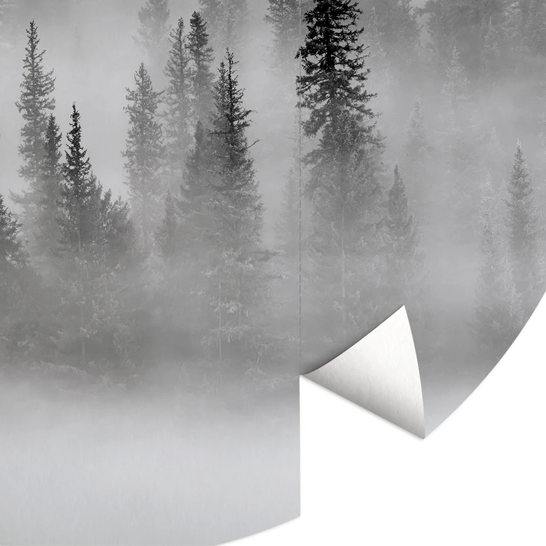 Fototapete Nebelwald in Schwarz-Weiß - Waldtapete Rund - Xu - Selbstklebend/Vlies 