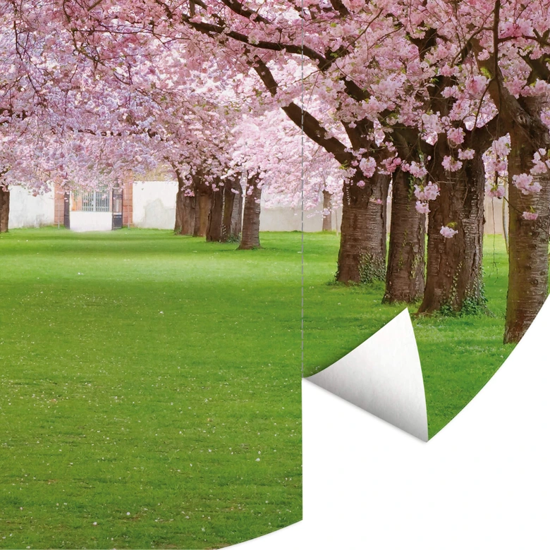 Round wall mural Spring Time - non self-adhesive/self-adhesive wallpapers 