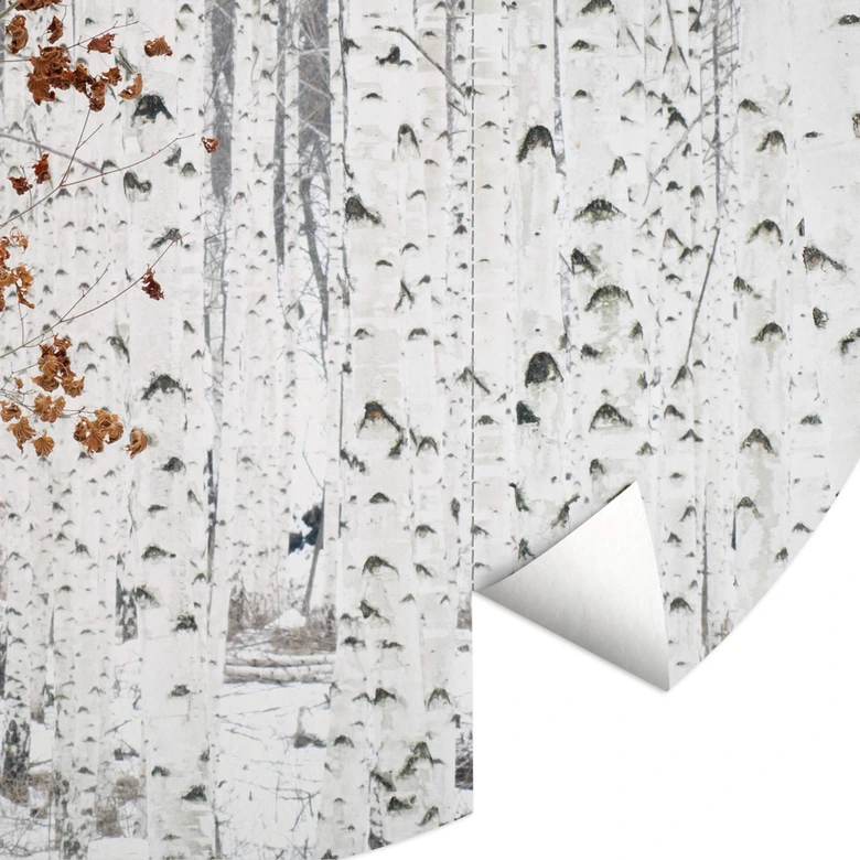 Papier peint photo Han - Forêt de bouleaux - Rond - papier peint intissé/papier peint intissé autocollant 