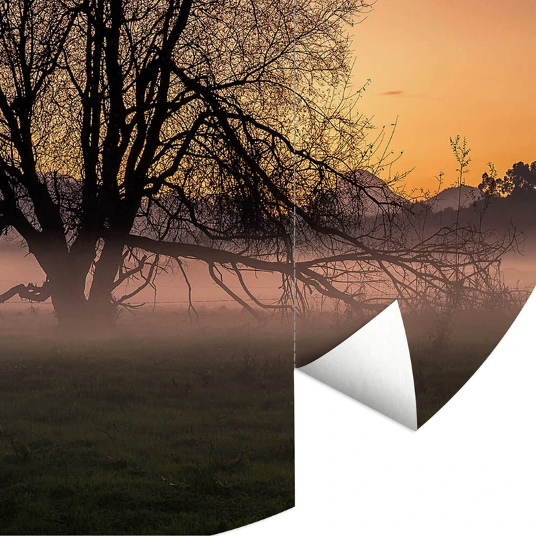 Round wall mural Cuadrado - the Fog - non self-adhesive/self-adhesive wallpapers 