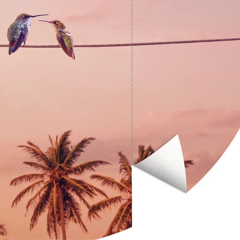 Behangcirkel Loose - Hummingbirds in Love - vliesbehang/zelfklevend vliesbehang 