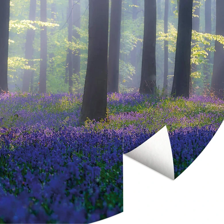Round wall mural Popan - Bluebells - non self-adhesive/self-adhesive wallpapers 
