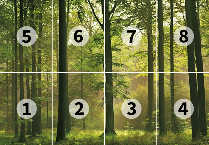 Fototapete Papiertapete Herbstwald 