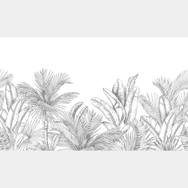 Fototapete Dschungel Illustration 