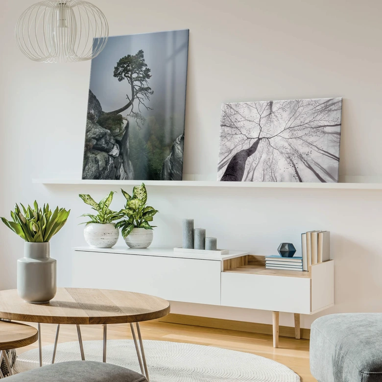 Glasbild Pavlasek - Ein Blick in die Baumkronen 