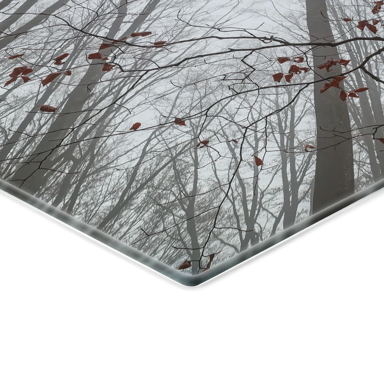 Glasbild Baumkronen mit roten Blättern - Coman 