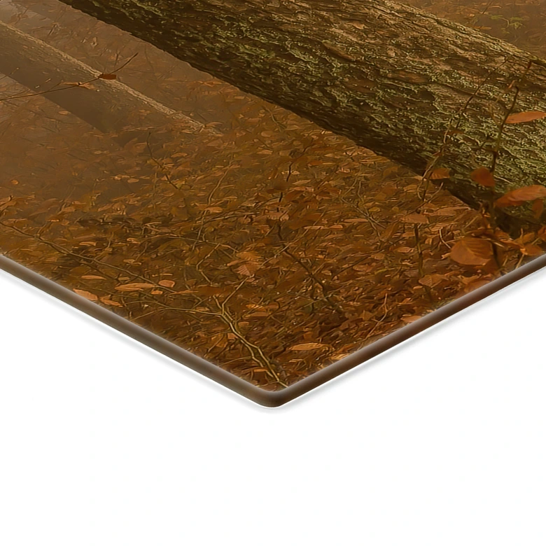 Glasbild Wald & Bäume - Dunst und Licht im herbstlichen Wald - Maier 