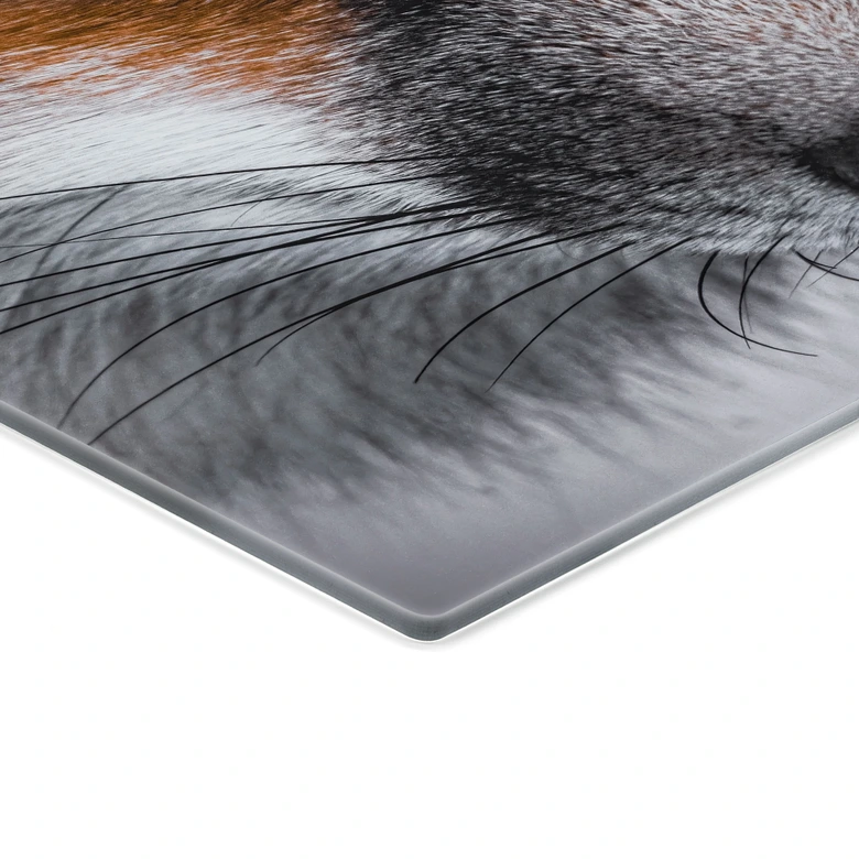 Glasbild Tierporträt Rotfuchs - Nagi 