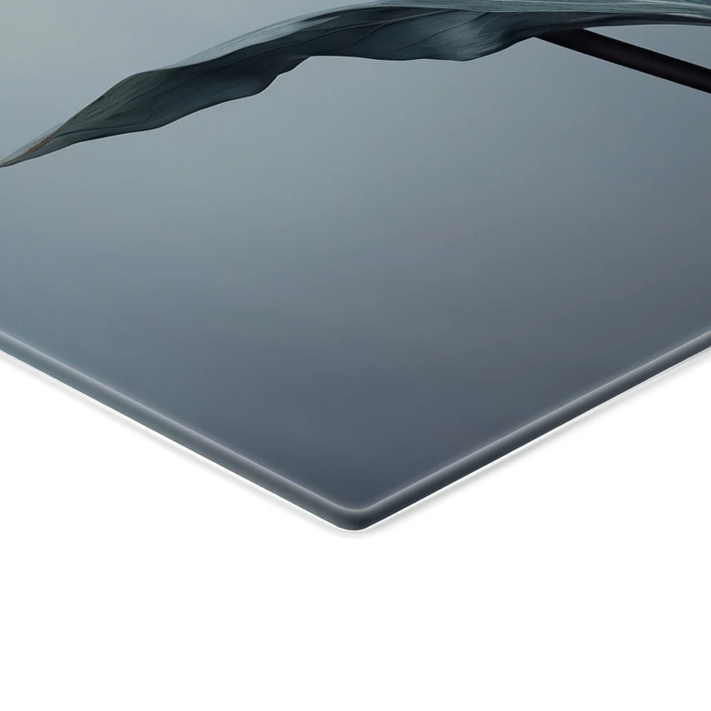 Glasbild Samtige Tulpe in Schwarz - Paksoylu 