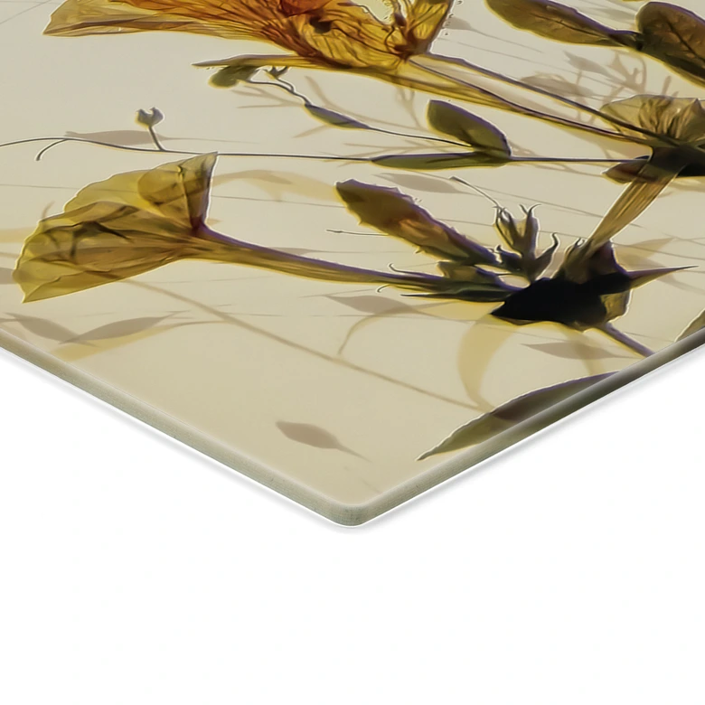 Tableau verre Fleurs sauvages des prés au soleil - Talen - Panorama 