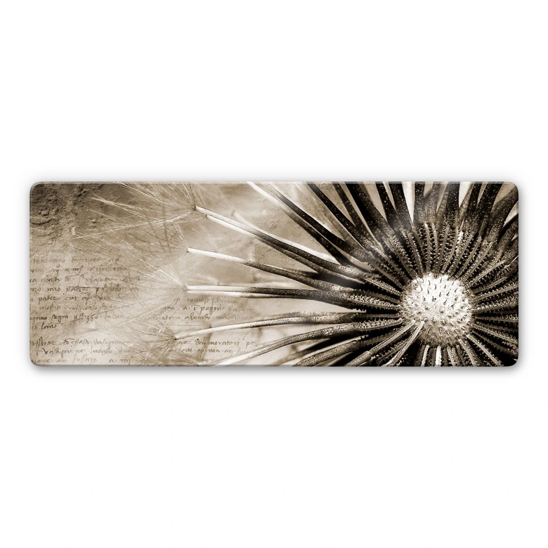 Tableau en verre - Pissenlit - Panorama 