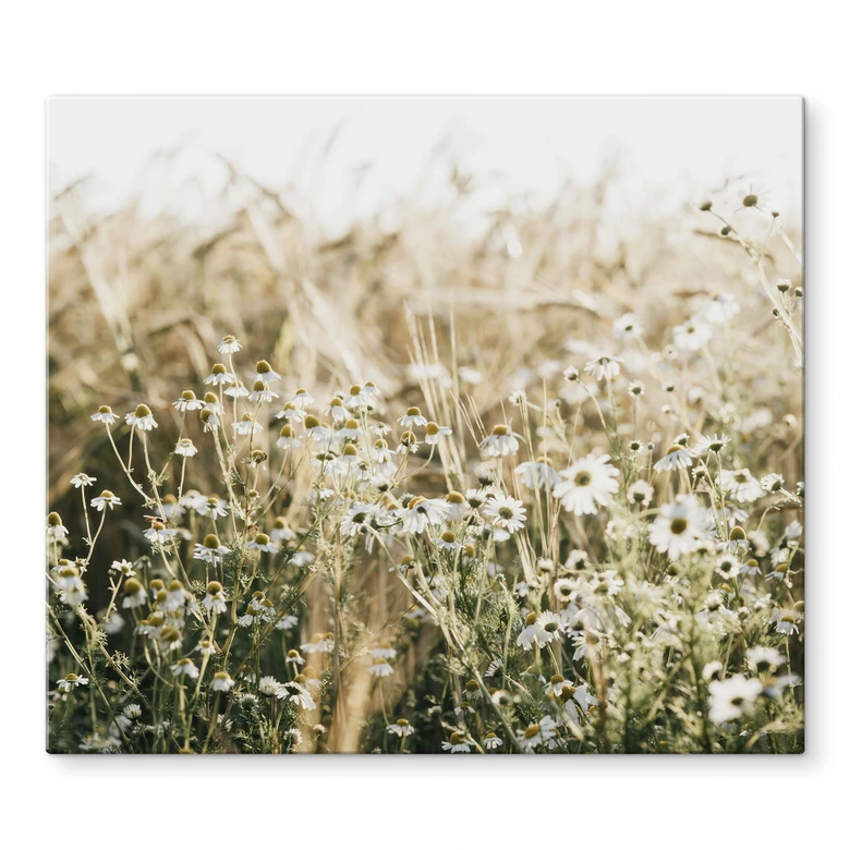 Stove cover plate for the kitchen - Summer meadow with camomile - Annie 