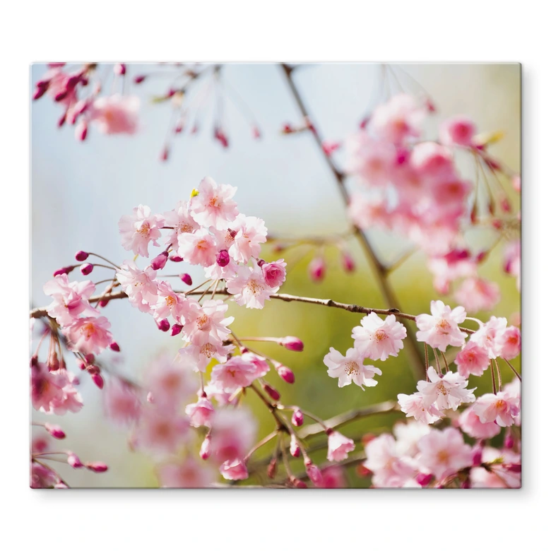 Stove cover plate with flowers - Cherry Blossoms 