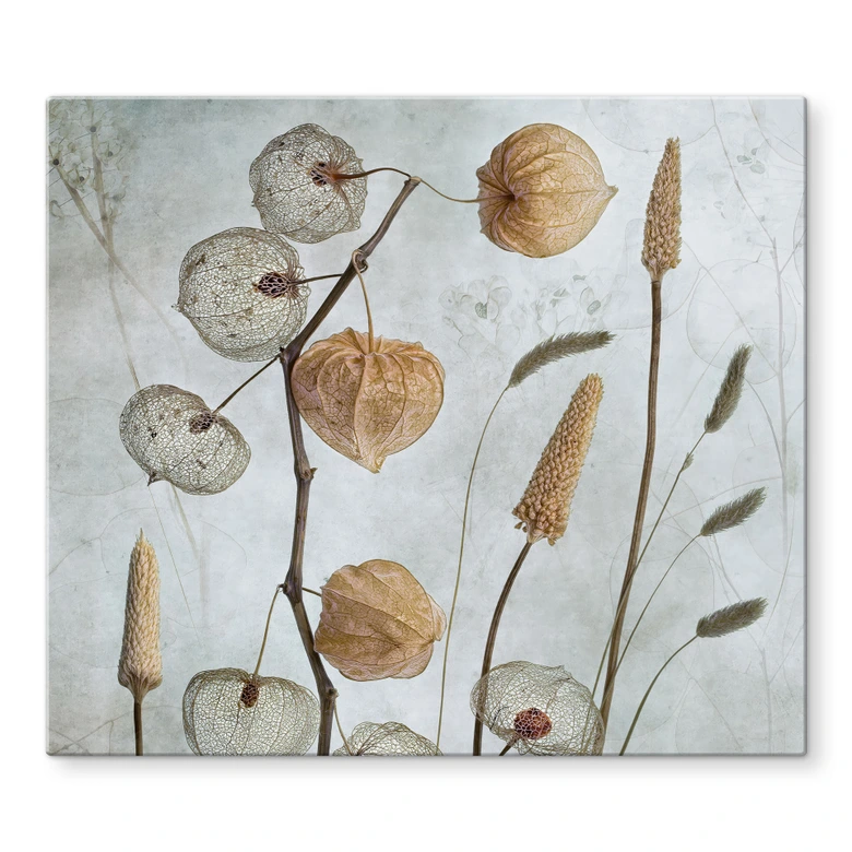 Herdabdeckplatte Getrocknete Lampionblumen - Disher 