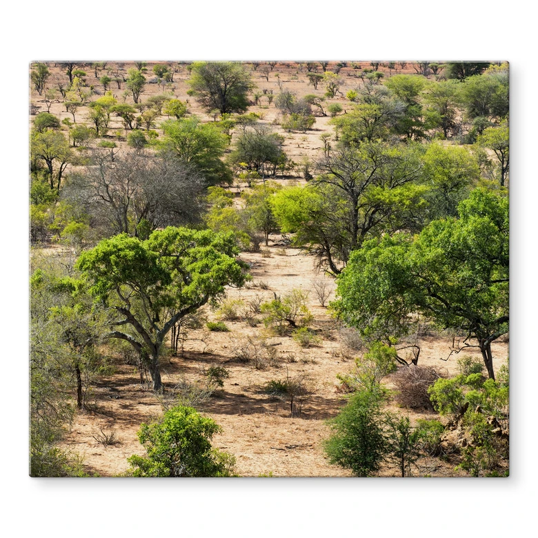 Stove cover plate savannah landscape in Africa - Hugonnard 