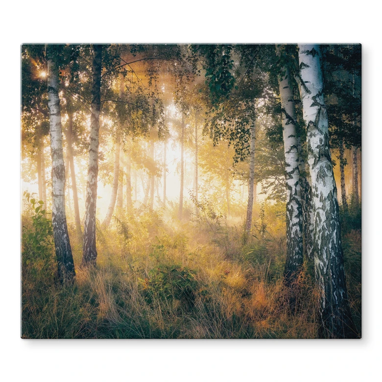 Herdabdeckplatte Sonnenschein im Birkenwald - Kado 