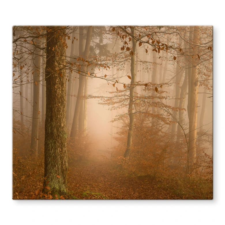 Plaque de recouvrement pour cuisinière Brume et lumière dans la forêt automnale - Maier 