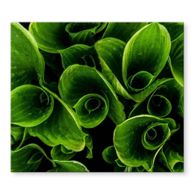 Herdabdeckplatte Rolling Green 