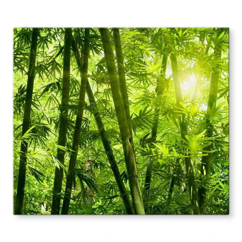 Herdabdeckplatte Sonnenschein im Bambuswald 