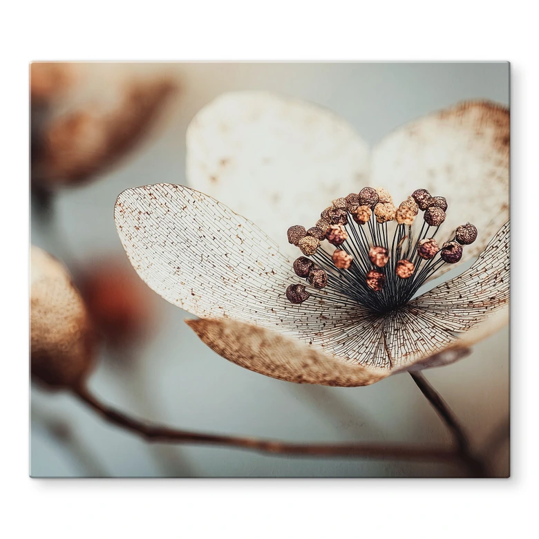 Herdabdeckplatte Boho Trockenblume Makro - Treechild 