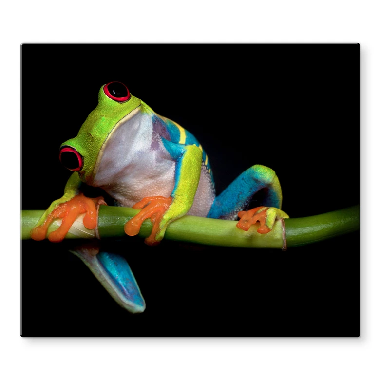 Hob Cover Valverde - Green Frog 