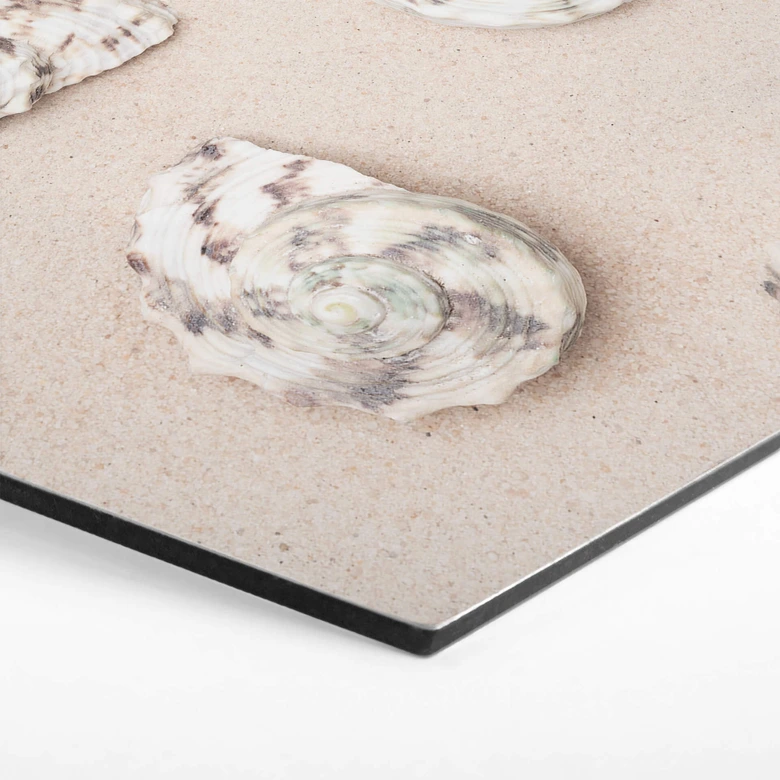 Hexagon - Alu-Dibond 1X Studio - Am Strand 