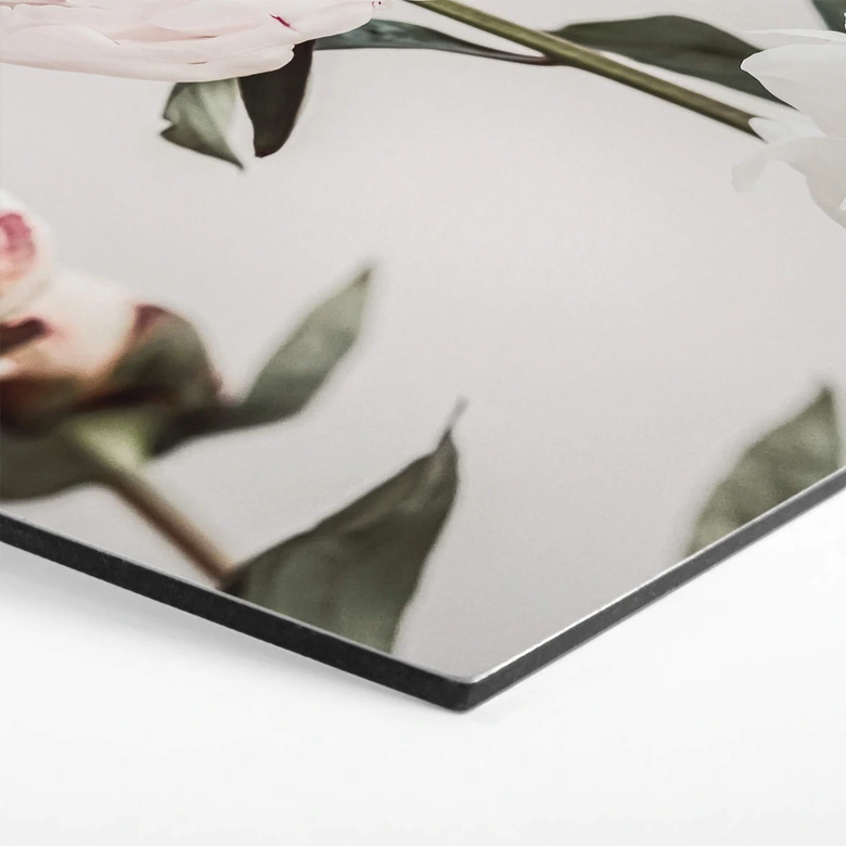 Hexagon - Alu-Dibond 1X Studio - Drei blühende Pfingstrosen 
