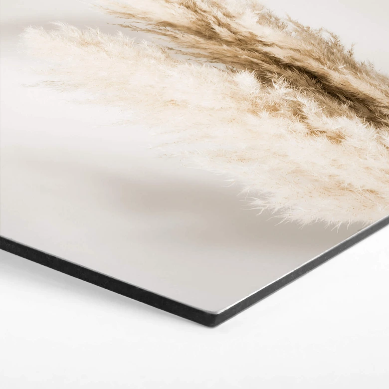 Hexagon Dibond 1X Studio - Gebonden Pampas 