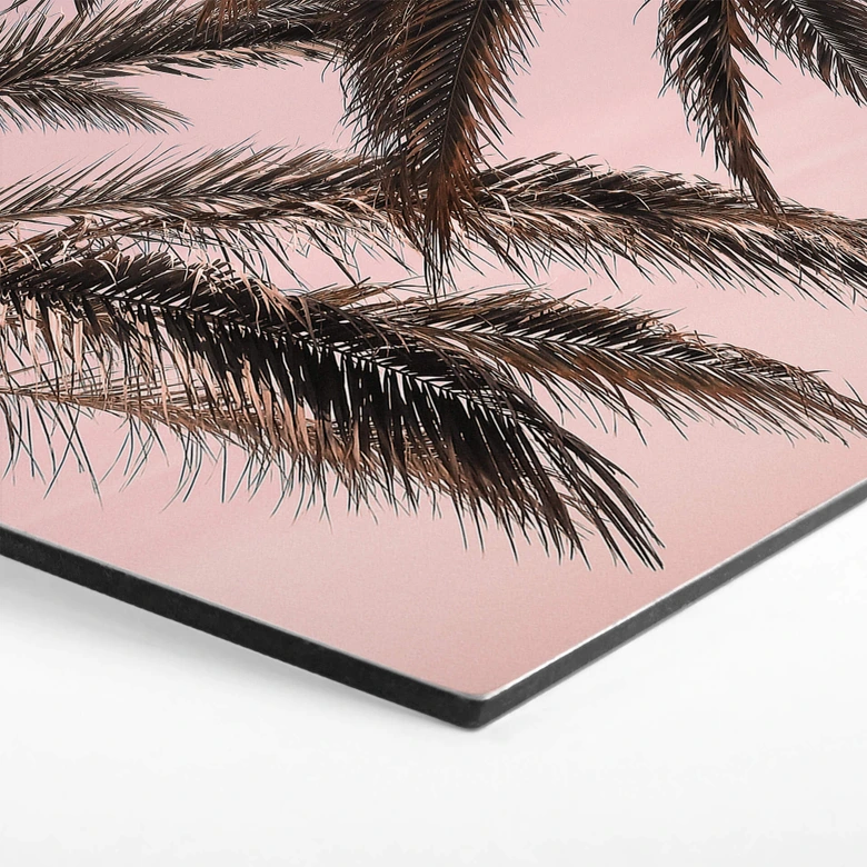 Hexagon - Alu-Dibond 1X Studio - Palmen 