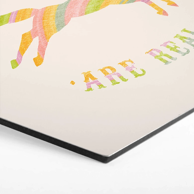 Hexagon Dibond Bodart - Unicorns are Real 