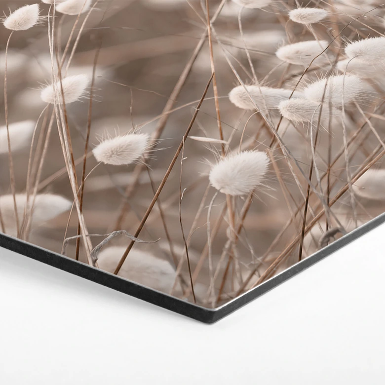Hexagon Wandbild Zarte Gräser im Herbstlicht - Collins - Alu-Dibond 